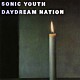 ソニック・ユース「デイドリーム・ネイション」