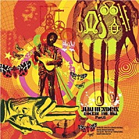 ジミ・ヘンドリックス「 ロッキン・ザ・ＵＳＡ　Ｐａｒｔ　６」