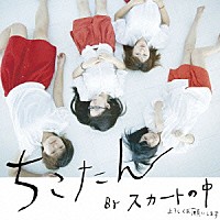 スカートの中「 ちこたん」