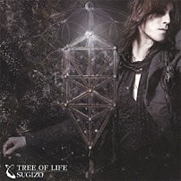 ＳＵＧＩＺＯ 「ＴＲＥＥ　ＯＦ　ＬＩＦＥ」