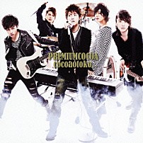 ｃｏｃｏａｏｔｏｋｏ． 「ＰＲＥＭＩＵＭ　ＣＯＣＯＡ」