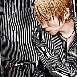 Ａｃｉｄ　Ｂｌａｃｋ　Ｃｈｅｒｒｙ「イエス」