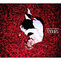 Ａｃｉｄ　Ｂｌａｃｋ　Ｃｈｅｒｒｙ「 『２０１２』」