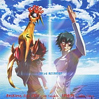 井出泰彰／酒井ミキオ「 Ｒｅｃｋｌｅｓｓ　ｆｉｒｅ　２０１１／ＳＰＩＲＩＴＳ」