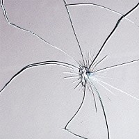 Ｐｌａｓｔｉｃ　Ｔｒｅｅ「 静脈」