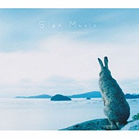 島谷ひとみ 「Ｓｉｇｎ　Ｍｕｓｉｃ」