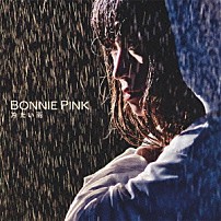 ＢＯＮＮＩＥ　ＰＩＮＫ 「冷たい雨」