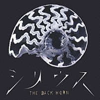 ＴＨＥ　ＢＡＣＫ　ＨＯＲＮ 「シリウス」