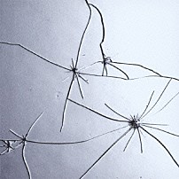 Ｐｌａｓｔｉｃ　Ｔｒｅｅ 「静脈」