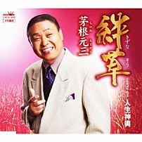 茅根元三 「絆草」
