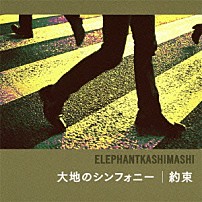エレファントカシマシ 「大地のシンフォニー／約束」