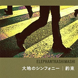 エレファントカシマシ「大地のシンフォニー／約束」