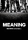 ＭＥＡＮＩＮＧ「ＭＥＡＮＩＮＧ　ｔｏ　ｂｅ　ｈｅｒｅ．．．／Ｔｏ　ｔｈｅ　Ｆｕｔｕｒｅ」