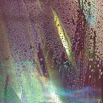 Ｐｌａｓｔｉｃ　Ｔｒｅｅ 「くちづけ」