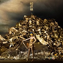 女王蜂 「蛇姫様」