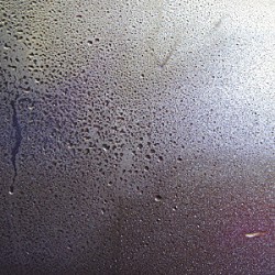 Ｐｌａｓｔｉｃ　Ｔｒｅｅ「くちづけ」