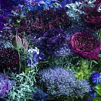 Ａｉｍｅｒ「 あなたに出会わなければ～夏雪冬花～／星屑ビーナス」