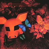 ＡＡ＝ 「Ｔｈｅ　Ｋｌｏｃｋ」