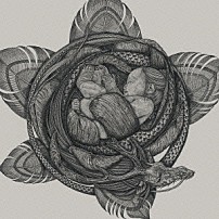 ＹＯＳＨＩＩ　ＫＡＺＵＹＡ 「点描のしくみ」