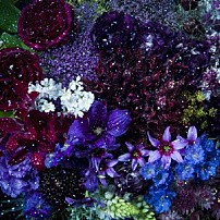 Ａｉｍｅｒ 「あなたに出会わなければ～夏雪冬花～／星屑ビーナス」