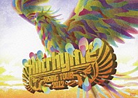 ヒルクライム 「ＲＩＳＩＮＧ　ＴＯＵＲ　２０１２」