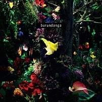 ＦＡＣＴ 「ｂｕｒｕｎｄａｎｇａ」