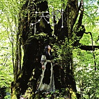 天野月 「天の樹」