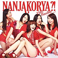 ＴＨＥ　ポッシボー「 なんじゃこりゃ？！」