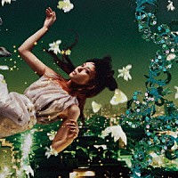 Ｋｏ　Ｓｈｉｂａｓａｋｉ「 Ｏｒｂ　Ｋｏ　Ｓｈｉｂａｓａｋｉ　１０ｔｈ　ａｎｎｉｖｅｒｓａｒｙ　Ｐｒｅｍｉｕｍ　Ｂｏｘ」