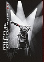 Ａｃｉｄ　Ｂｌａｃｋ　Ｃｈｅｒｒｙ「 Ａｃｉｄ　Ｂｌａｃｋ　Ｃｈｅｒｒｙ　ＴＯＵＲ　『２０１２』」
