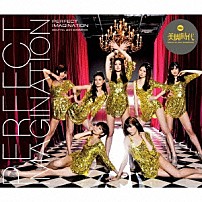 美脚時代 「ＰＥＲＦＥＣＴ　ＩＭＡＧＩＮＡＴＩＯＮ」