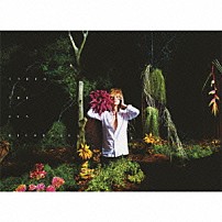 清春 「ＵＮＤＥＲ　ＴＨＥ　ＳＵＮ」