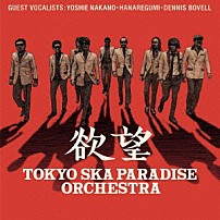 東京スカパラダイスオーケストラ 「欲望」