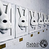 Ｒａｂｂｉｔ 「裸人」