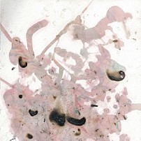 ドレスコーズ 「ｔｈｅ　ｄｒｅｓｓｃｏｄｅｓ」