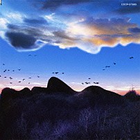 キリンジ 「ＳＵＰＥＲ　ＶＩＥＷ」