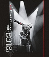 Ａｃｉｄ　Ｂｌａｃｋ　Ｃｈｅｒｒｙ「 Ａｃｉｄ　Ｂｌａｃｋ　Ｃｈｅｒｒｙ　ＴＯＵＲ　『２０１２』」