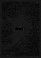 ｔｈｅ　ＧａｚｅｔｔＥ「 ｔｈｅ　ＧａｚｅｔｔＥ　１０ＴＨ　ＡＮＮＩＶＥＲＳＡＲＹ　ＴＨＥ　ＤＥＣＡＤＥ　ＬＩＶＥ　ＡＴ　０３．１０　ＭＡＫＵＨＡＲＩ　ＭＥＳＳＥ」