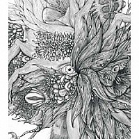 ＤＩＲ　ＥＮ　ＧＲＥＹ「 輪郭」