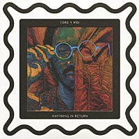 トロ・イ・モワ「 エニシング・イン・リターン」