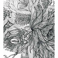 ＤＩＲ　ＥＮ　ＧＲＥＹ 「輪郭」