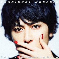 堂珍嘉邦 「Ｓｈｏｕｔ／ｈｕｍｍｉｎｇｂｉｒｄ」