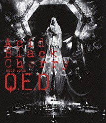 Ａｃｉｄ　Ｂｌａｃｋ　Ｃｈｅｒｒｙ「Ａｃｉｄ　Ｂｌａｃｋ　Ｃｈｅｒｒｙ　２００９　ｔｏｕｒ　“Ｑ．Ｅ．Ｄ．”」