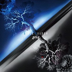 Ｂｌｉｔｚ「ＢＬＡＣＫ　ＳＨＡＤＯＷ」