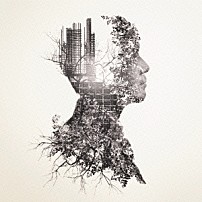 ＭＯＮＫＥＹ　ＭＡＪＩＫ 「ＩＦ」