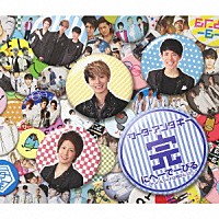 サーターアンダギー「 サーターアンダギー　完　にへーでーびる　～ヤンバルクイナは飛びたった～」