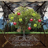 ＤＩＶ「 テイスト　オブ　ライフ」