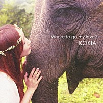ＫＯＫＩＡ 「Ｗｈｅｒｅ　ｔｏ　ｇｏ　ｍｙ　ｌｏｖｅ？」