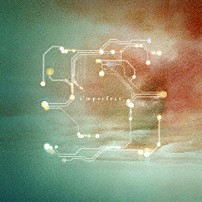 凛として時雨 「ｉ’ｍｐｅｒｆｅｃｔ」