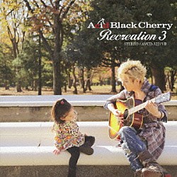 Ａｃｉｄ　Ｂｌａｃｋ　Ｃｈｅｒｒｙ「Ｒｅｃｒｅａｔｉｏｎ　３」